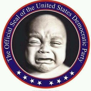 Meet your Posher, Gracie